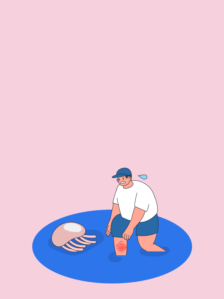 해파리에 쏘였어요. 타이틀 배경 이미지